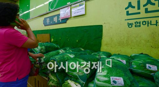 [포토]배추값 급등, '올라도 너무 올라'