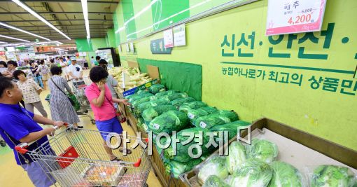 [포토]배추값 급등, 여전히 채소 고르는 시민들
