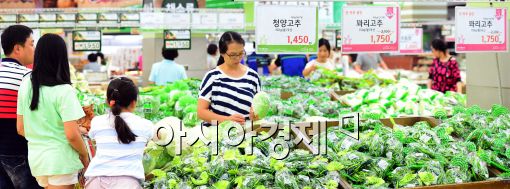 9개월째 0%대 물가…소비자는 체감 괴리, 장바구니 물가 고민(종합)