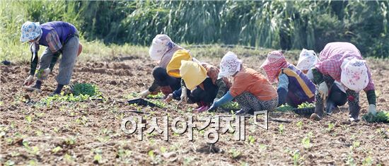 함평군 신광면, 향우회 활성화 위해 텃밭 조성