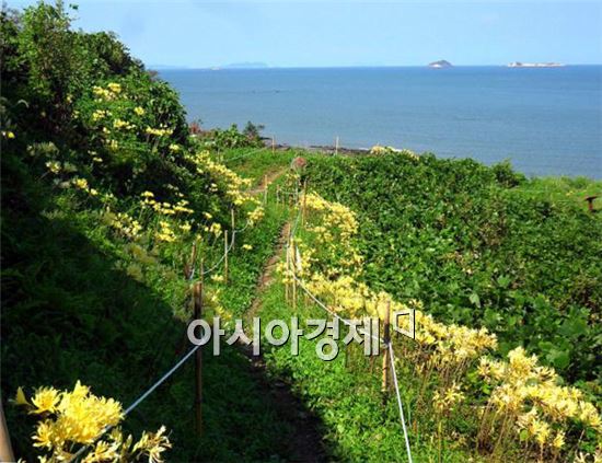 부안 변산마실길에서 초가을 맞이 하세요