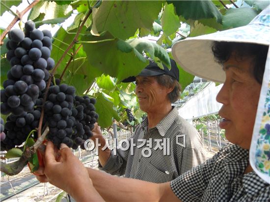 [기획]한가위 고맙고 감사한 마음, '남원 특산품'으로 전하세요