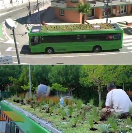 세계 최초 텃밭 버스, 달리는 버스위서 텃밭 가꾼다 