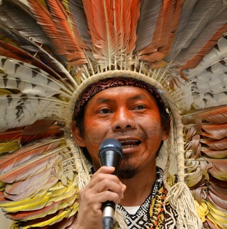 [티타임]자연 해치는 아마존式 개발, 한국에선 없기를