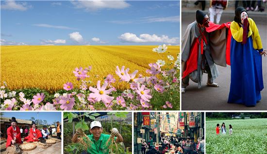 김제 지평선축제, 안동국제탈춤페스티벌, 평창 효석문화제, 부산 그랜드세일,금산 인삼축제, 산청세계전통의약엑스포.(사진 위왼쪽부터 시계방향으로)