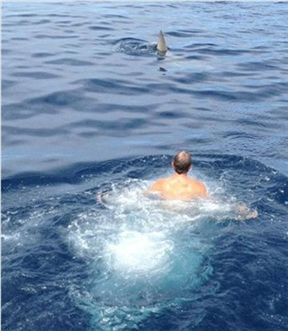 바다에서 최악의 만남은? 