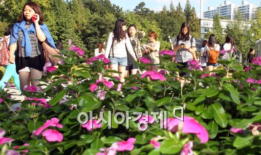 [포토]가을 물씬 풍기는 대학 캠퍼스