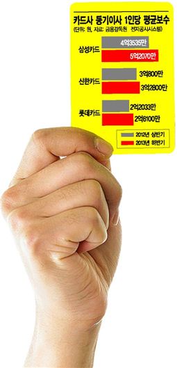 카드 순익 줄었는데, 임원 연봉은 늘었네 