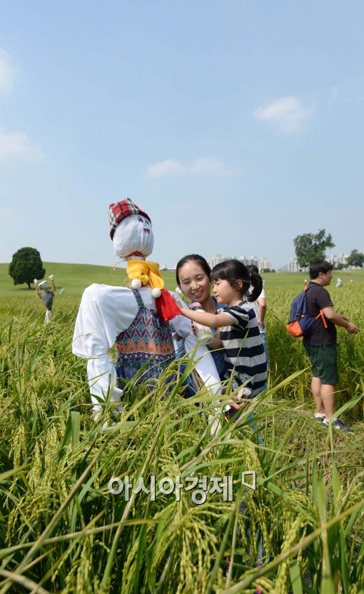 [포토]파란 하늘 아래 허수아비