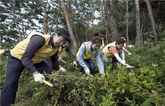 김동수 대림산업 사장(왼쪽 첫 번째)과 임직원 및 가족 300여명이 지난 7일 서울 남산야외식물원에서 넝쿨과 잡초를 제거하고 있다.  
