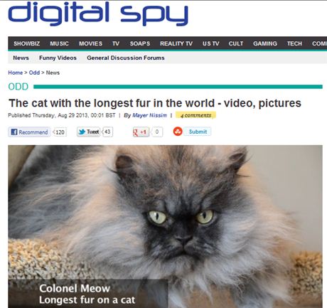 ▲세상에서 가장 털 긴 고양이 '콜로넬 먀우'(출처: 영국 디지털스파이)