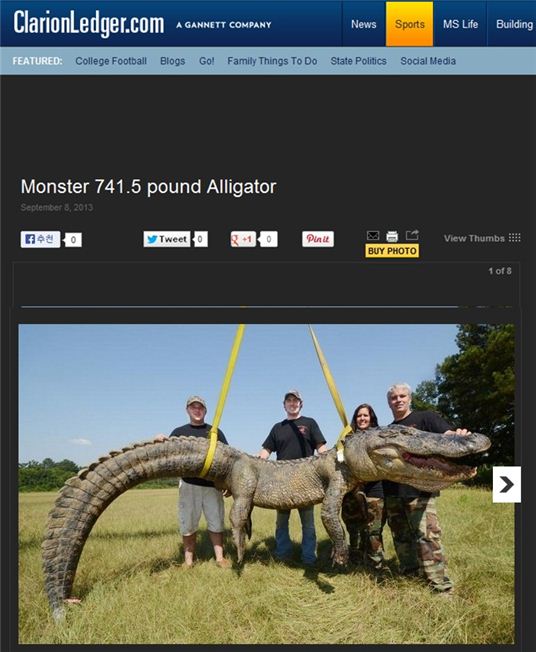▲337kg 악어와 이 악어를 포획한 지미 그리어(왼쪽부터), 델코 터너, 제니퍼, 존
(출처: 클라리온 레저)