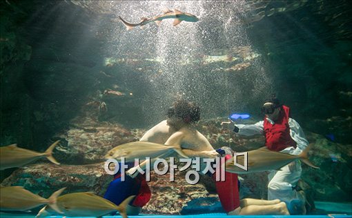 [포토]'수중 천하장사 씨름대회'