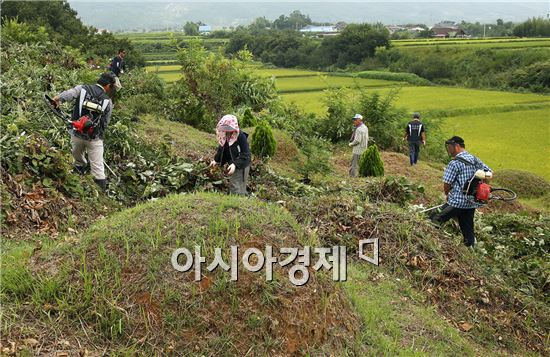 구례군 토지면 의용소방대 무연고묘 벌초 실시