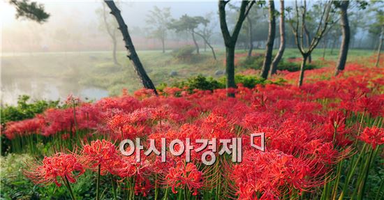 추석 명절 가족과 함께 나들이하기 좋은곳 ?