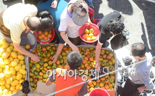 [포토]추석 준비하는 바쁜 손길들 