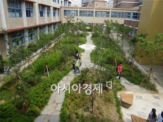 광주 효덕초등학교 숲 조성 '전국 최우수상 ' 선정 