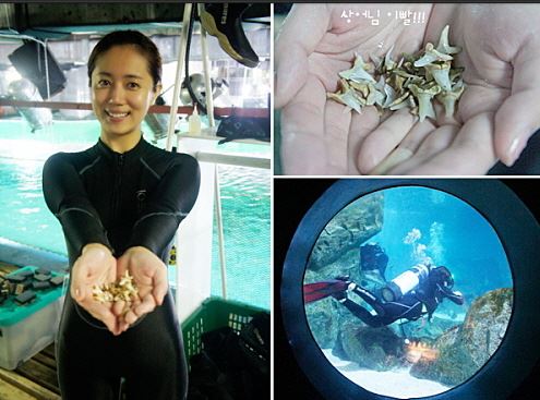 최송현, 상어 이빨 인증샷… '반전 몸매' 깜짝