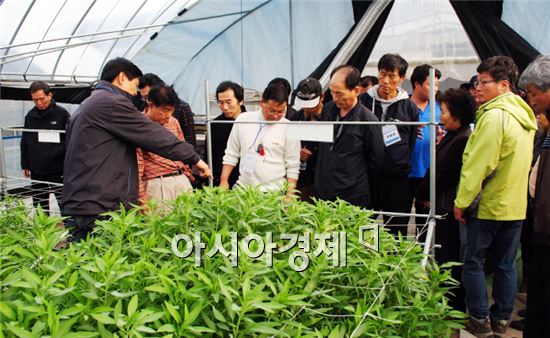 장성군, 새내기 귀농인 영농체험 실시