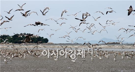 가을 정취 가득한 부안변산마실길, 즐거움 ‘두 배’