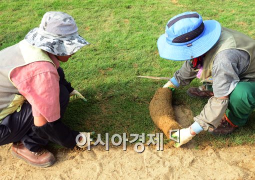 [포토]손 많이 가는 예민한 서울광장 