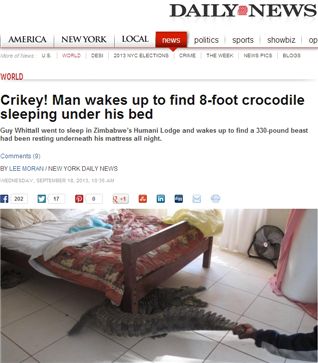 (출처: 미국 뉴욕데일리뉴스)