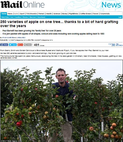 ▲폴 바넷씨와 그의 사과나무(출처: 데일리메일)
