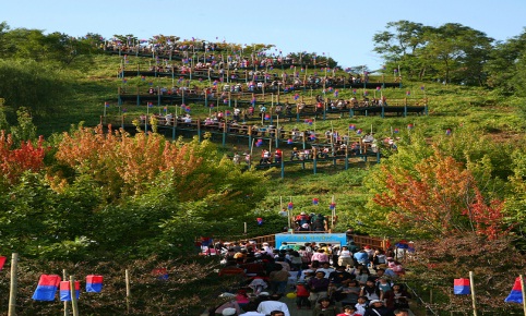 하늘공원에서 열리는 서울억새축제 현장