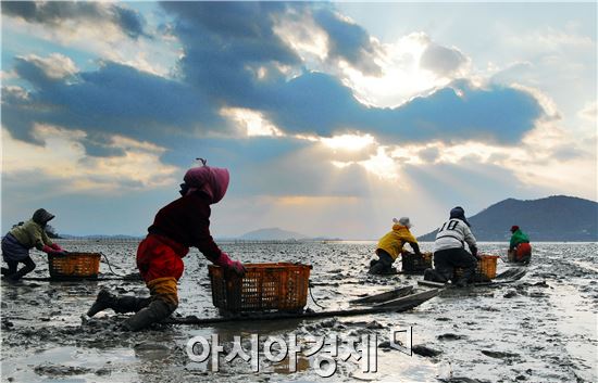 [남도여행]풍요로운 가을, 순천만으로 떠나볼까요?