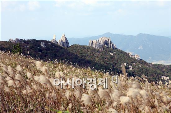기암괴석이 어우러진 장흥 천관산 억새