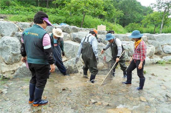 광주 남구 ‘덕남도랑’ 수생태 체험장으로 변모