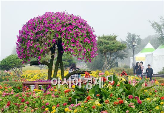 [포토]관광객 유혹하는 '패츄니아'