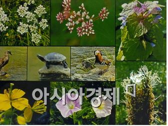 ‘광주 야생 동·식물 사진전시회’ 개최