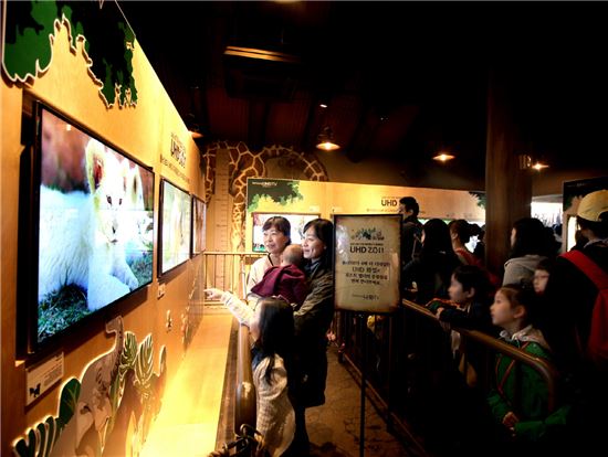 ▲지난 4일 에버랜드 생태형 사파리 로스트밸리를 방문한 관람객들이 삼성전자 UHD TV를 통해 제공되는 동물 영상을 감상하고 있다.
