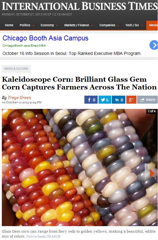 '유리 보석 옥수수' 공개 "무슨 옥수수가 이렇게 예뻐?"