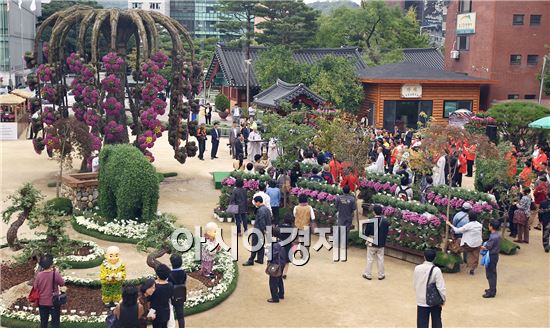 함평군, 조계사서 ‘국화향기 나눔전’ 개막