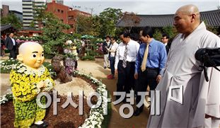 함평군, 조계사서 ‘국화향기 나눔전’ 개막