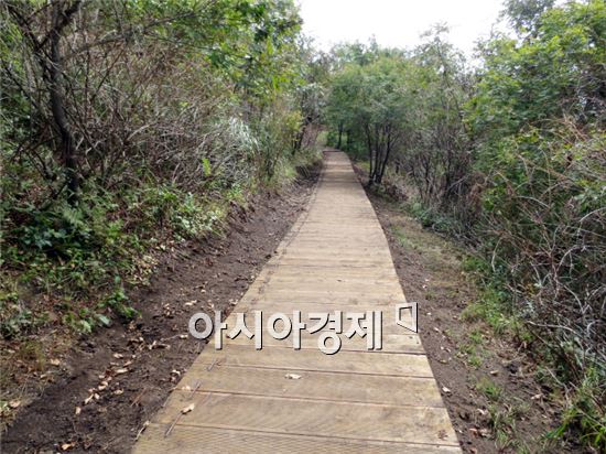 순천 조계산 탐방로 장박골~장군봉 구간 확 달라졌네~
