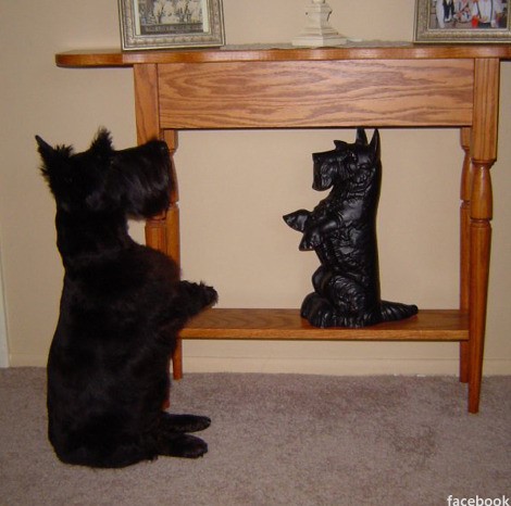 도플갱어 현상 "만나면 죽는다?"