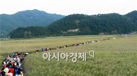 순천만