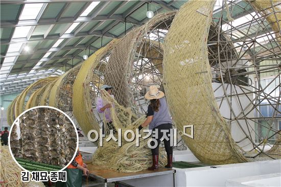 고흥군, 친환경 김 명품화를 위한 안간힘