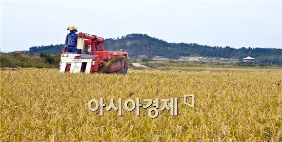 해남군, 2013년산 공공비축미 수매 개시