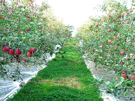 '천수답' 농작물재해보험, 5년만에 '햇볕' 드나 