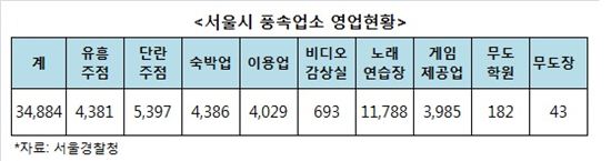 서울시내 룸살롱 등 풍속업소 3만여개··강남구 '최다'