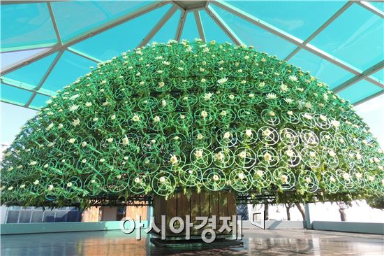 [포토]형형색색의 국화향기 속에서 가을 청취를 ~ 