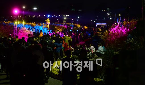 [포토]그대를 부르는 오색억새 