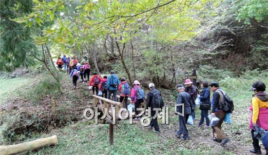 곡성 섬진강 둘레길 ~관광객 화려하게 수 놓아 