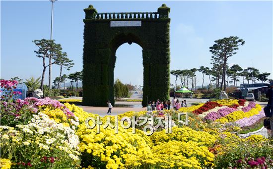 [포토]함평으로 국화보러오세요