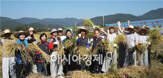 구례군 통일쌀 공동경작 벼베기 행사 가져
