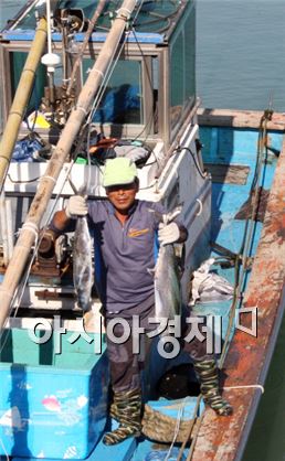 해남 땅끝삼치&해오름축제, 26일부터 이틀동안 개최